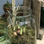 Load image into Gallery viewer, Recycled Eddy Clear Glass Vase
