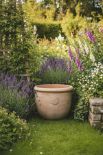 Load image into Gallery viewer, Temperate House Kew Frostproof Terracotta Planter -  Medium.
