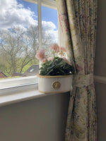 Load image into Gallery viewer, Small Oval Kew Planter in White
