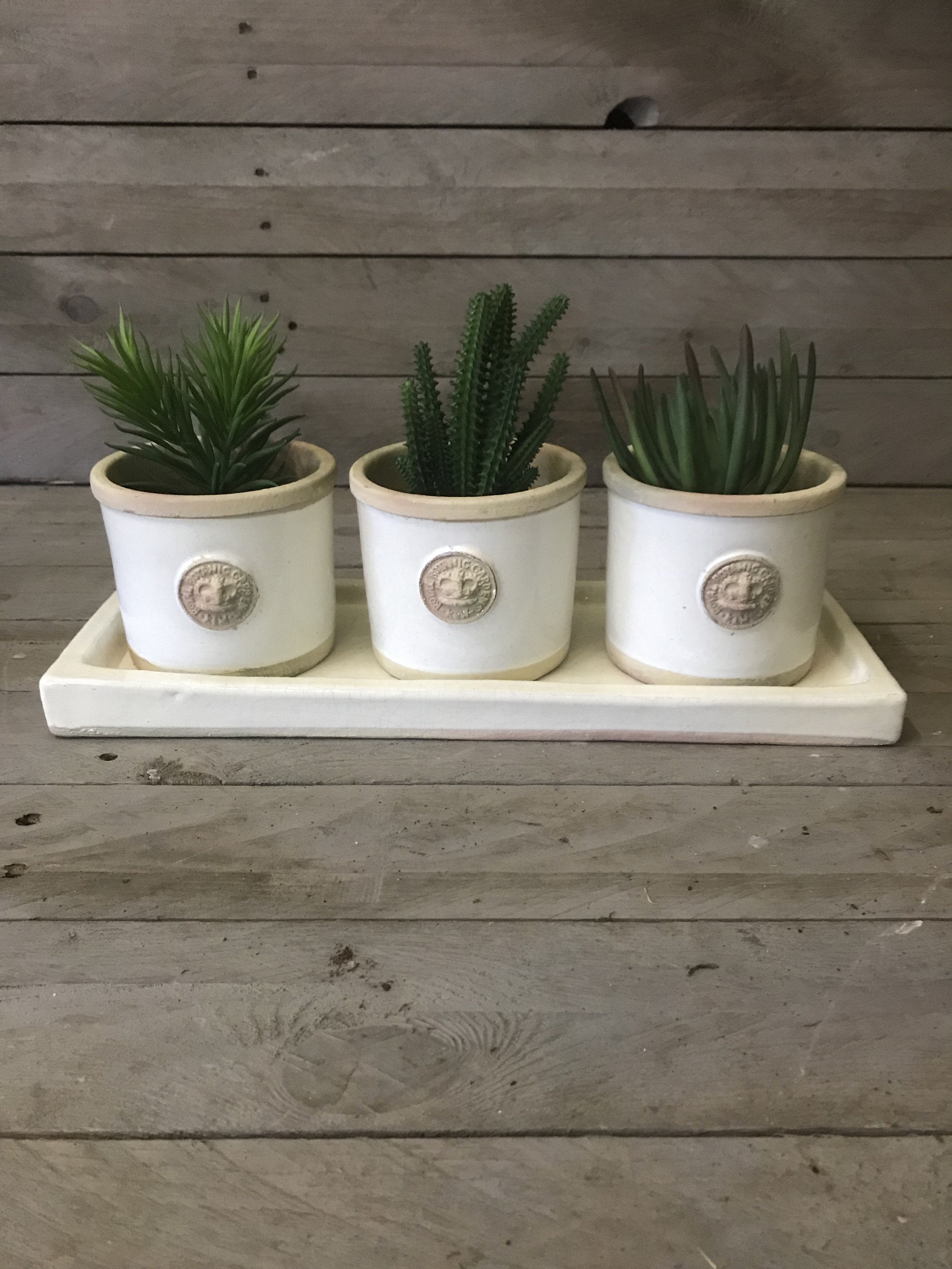 Set of 3 Kew Round Pots on Tray - Ivory