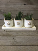 Load image into Gallery viewer, Set of 3 Kew Round Pots on Tray - Ivory
