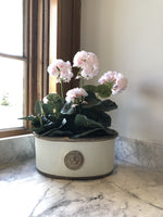 Load image into Gallery viewer, Small Oval Kew Planter in White

