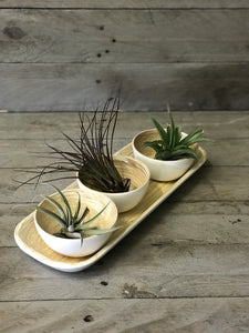 3 Bamboo Dipping bowls on Tray - White