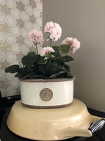 Load image into Gallery viewer, Small Oval Kew Planter in White
