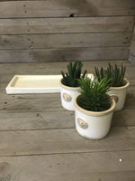 Load image into Gallery viewer, Set of 3 Kew Round Pots on Tray - Ivory
